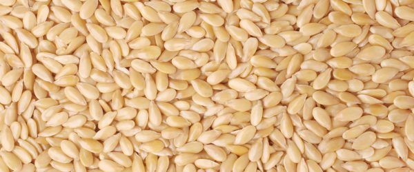 sesame